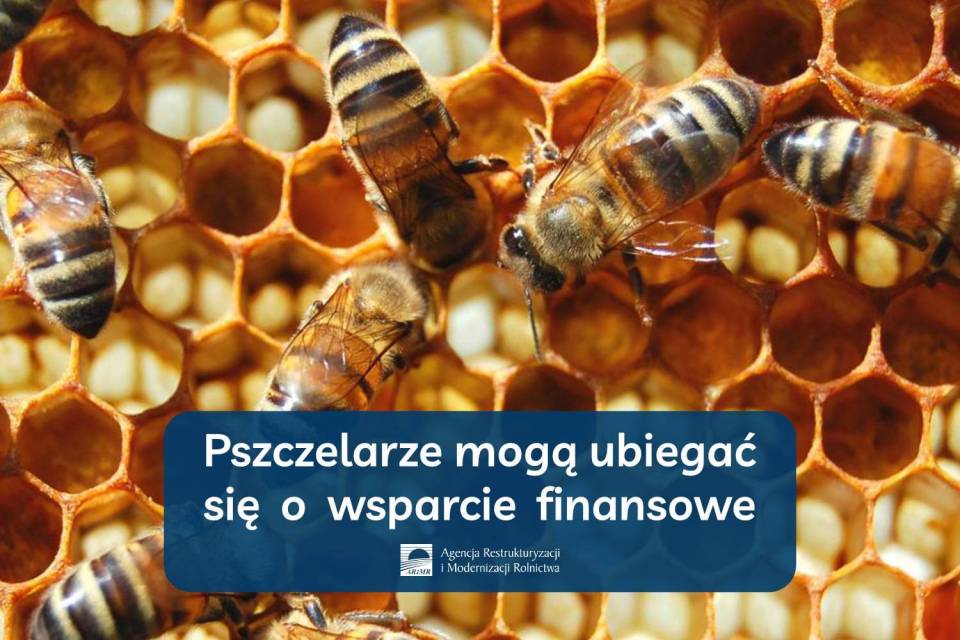 Pszczelarze-moga-juz-ubiegac-sie-o-dodatkowe-srodki-finansowe