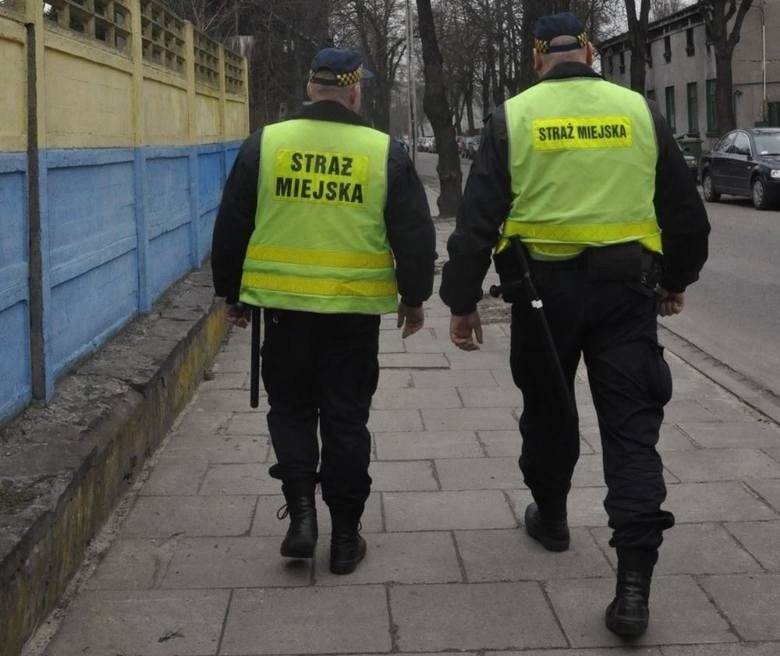 Wpadł w szał i pogryzł miejskiego strażnika! Niecodzienny finał interwencji przy Warszawskiej