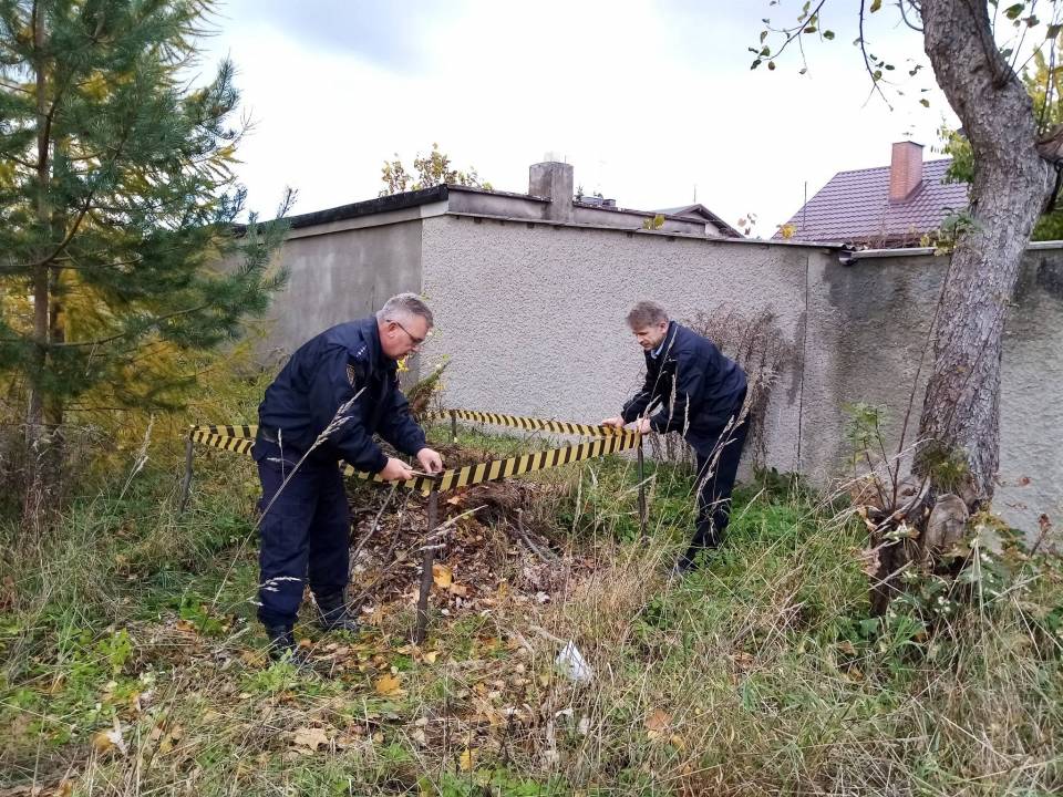 "Jeżowe budownictwo" w Pabianicach się rozwija! Strażnicy wspólnie ze skazanymi postawili kolejne kopczyki [Foto]