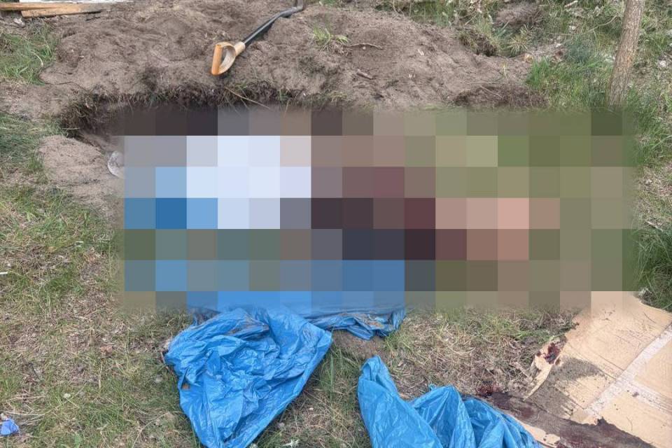 Drastyczne odkrycie w Tomaszowie Mazowieckim. Psa siekierą zabił sąsiad?